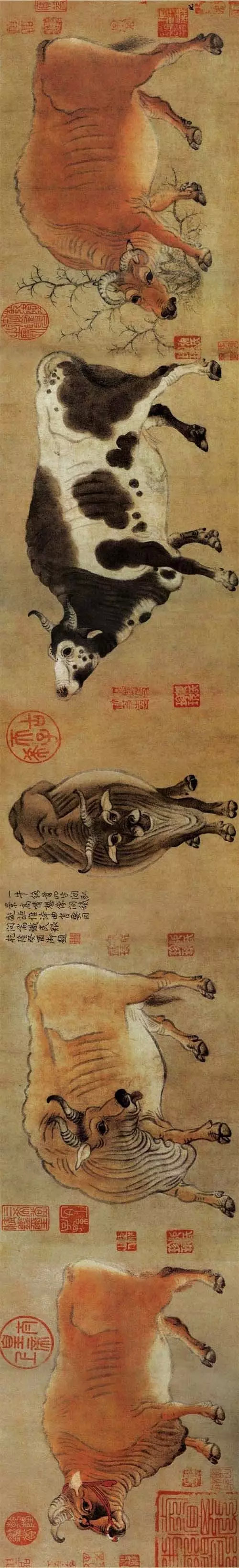 唐 韩滉 五牛图卷 纸本设色 20.8×139.8cm 故宫博物院藏