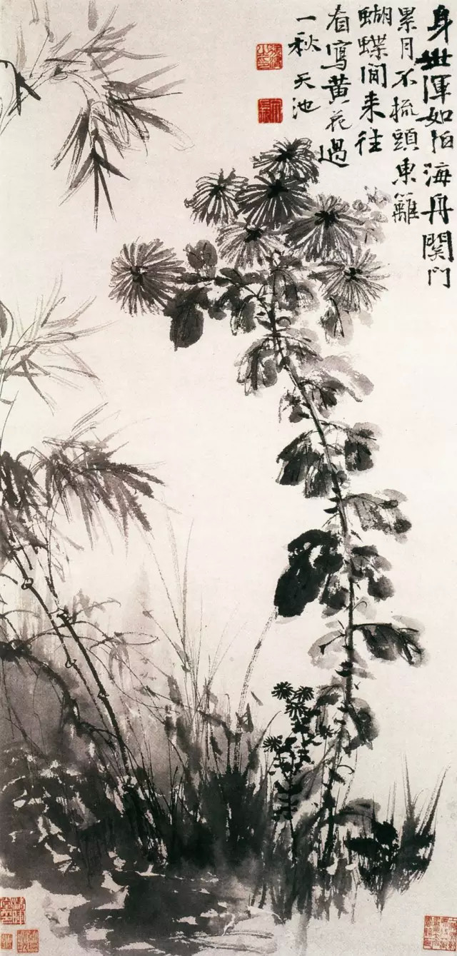 徐渭 菊竹 纸本墨笔 90.4×44.4cm 辽宁省博物馆藏