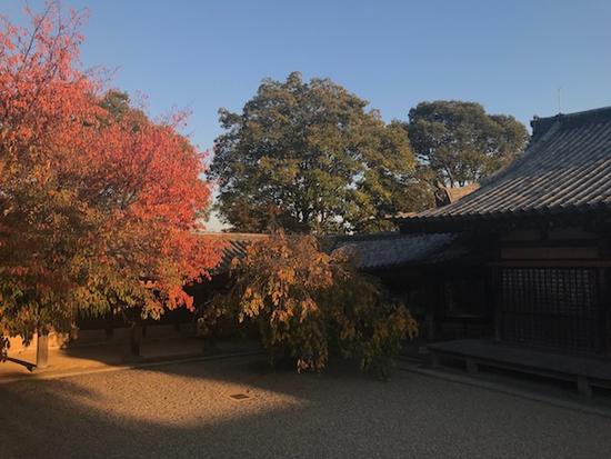 京都国宝展：从《瓢鲇图》《松林图屏风》看中日文化