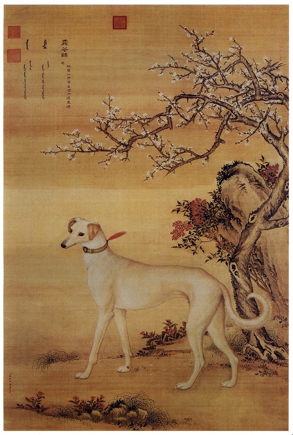 鉴赏｜郎世宁画笔下的中国猎犬