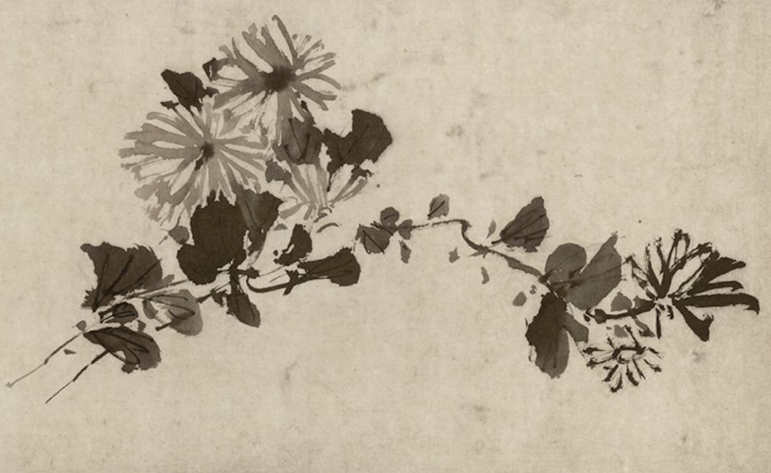徐渭：人世无情，我有情！